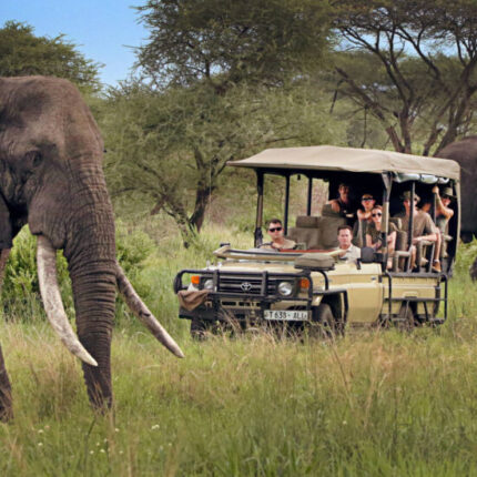 6 Days Tanzania Northern Circuit Safari