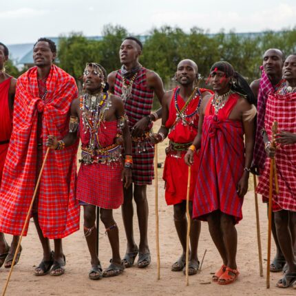 8 Days Great Migration Safari