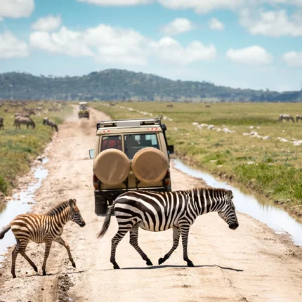 6 Days Tanzania Northern Circuit Safari