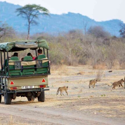 4-Day Adventure Safari (Canoeing & Game Drive)