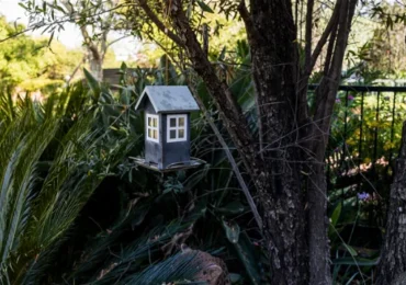 201029-0726221ac6364