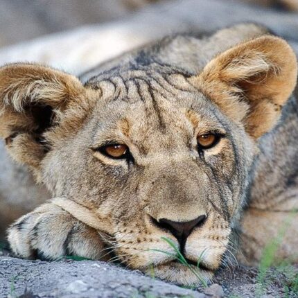 13-Day Budget-Friendly Namibia Self-Drive Adventure