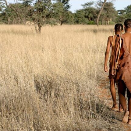 11-Day Budget Namibian Lodging and Tented Camp Safari