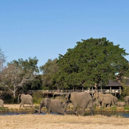 4-Day Sabi Sabi Bush Lodge Safari