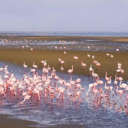 5-Day Mid-Range Scenic Tour of Namibia