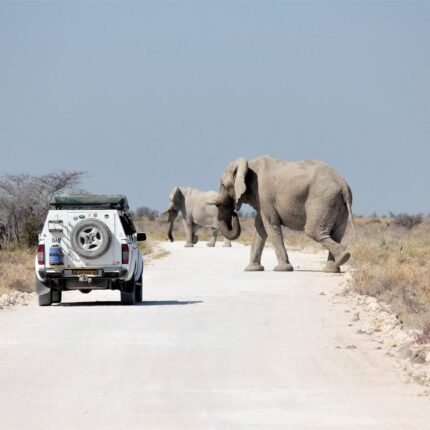 7-Day Namibia - Etosha National Park Self-Drive Safari